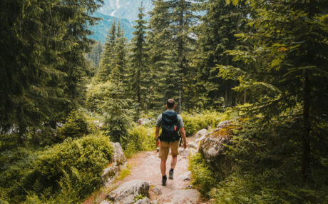 Forty Years Strong: Celebrating a Legacy of Natural Vitality with Longevity by Nature