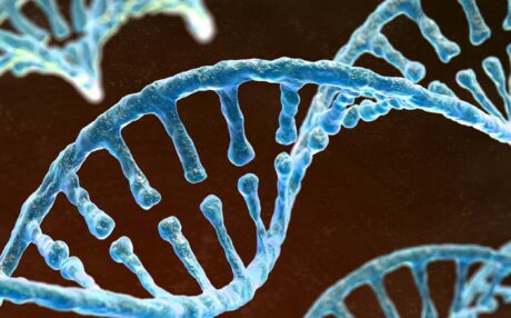 What are short telomeres?